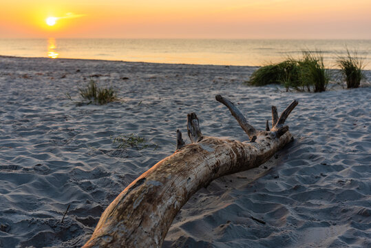sunrise at the beach