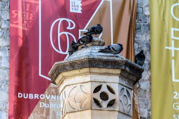 Pigeons standing on a stone pillar