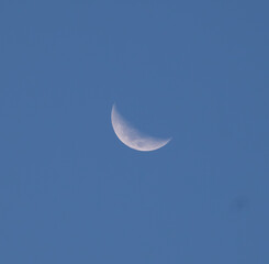 Naklejka na ściany i meble Half moon at sunset with blue clear skies sydney australia
