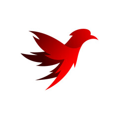 red bird illustration vector logo template