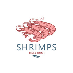 label of fresh shrimps isolated on white background