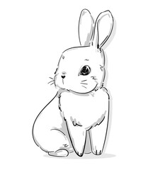 Hand Drawn Rabbit. Cute Bunny, Rabbit cute illustration. Print for children's t-shirts. Vector illustration