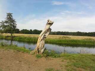 River Stour near Dedham