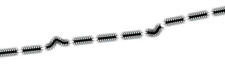 Stop Pine or Oak processionary marching Caterpillar moth Waring procession OPM signs Tiny hairs allergic reaction Poisonous banner Vector tree lind Beware sign Nest, swarm of thaumetopoea processione