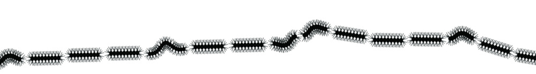 Stop Pine or Oak processionary marching Caterpillar moth Waring procession OPM signs Tiny hairs allergic reaction Poisonous banner Vector tree lind Beware sign Nest, swarm of thaumetopoea processione