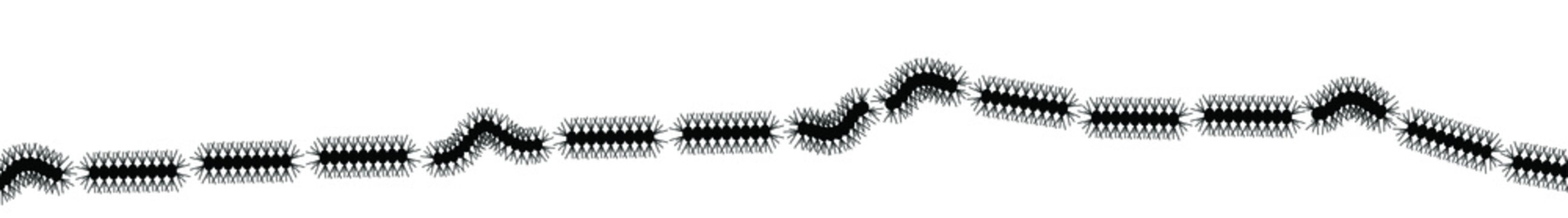 Stop Pine or Oak processionary marching Caterpillar moth Waring procession OPM signs Tiny hairs allergic reaction Poisonous banner Vector tree lind Beware sign Nest, swarm of thaumetopoea processione