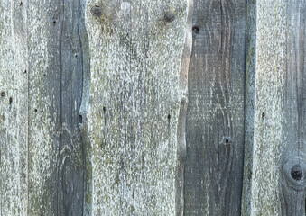 Timber wood wall texture background	. Closeup of old wood planks texture background
