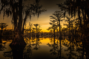 Sunrise with cypress trees in the swamp of the Caddo Lake State Park, Texas