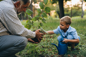 boy with his grandfather planting a tree in the city park