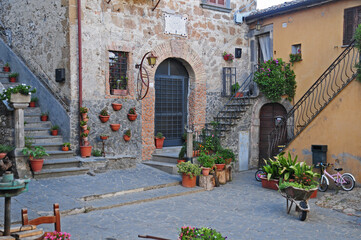 Fototapeta na wymiar Il Borgo di Roccalvecce - Viterbo