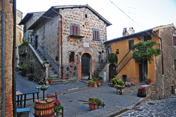 Fototapeta na wymiar Il Borgo di Roccalvecce - Viterbo