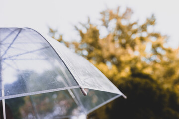 Autumn forest through wet transparent umbrella with rain drops. Concept