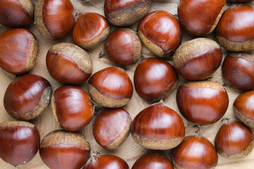 栗の背景イメージ