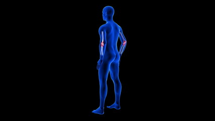 Elbow Pain illustration from rear view. Blue Human Anatomy Body 3D Scan render - black background