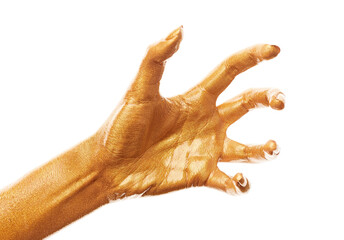 Hands in gold paint. Golden fingers. Female hand isolated on white background. White woman's hand showing symbols and gestures.