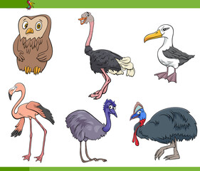 cartoon birds species animal characters set