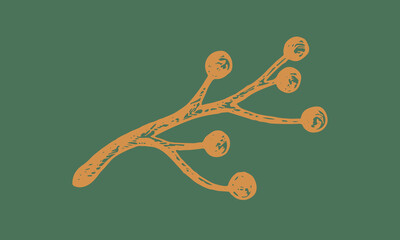 Autumn forest botanic elements. Hand drawn branch with berries. Vector illustration isolated on green background. Natural collection.