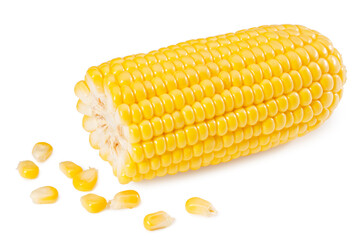 An ear of corn and some corn seeds peeling from it isolated on a white background
