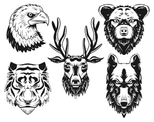 Isolated illustrations set of deer, tiger, wolf, bear and eagle.