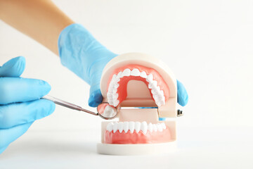 Fototapeta na wymiar Teeth model and dental mirror in dentist hands on grey background
