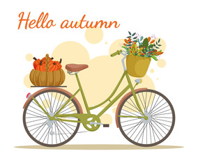 Vintage city bicycle with autumn bouquet and pumpkins in the basket. Hello Autumn. Vector illustration isolated on white background. 