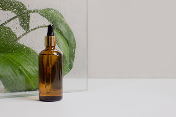 Serum, oil, lotion in brown dropper bottle in front of glass with water drops and green leaves, beige background, copy space. Spa product. Organic, natural cosmetic. Beauty, skincare concept.