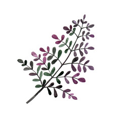 Watercolor leaves isolated on a white background. Design elements