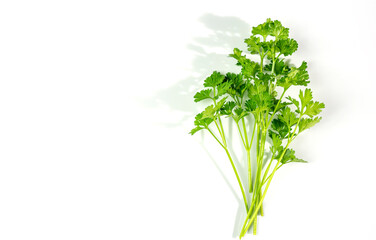 Parsley bunch with shadow isolated on white background. Can used for flavoring Italian foods.