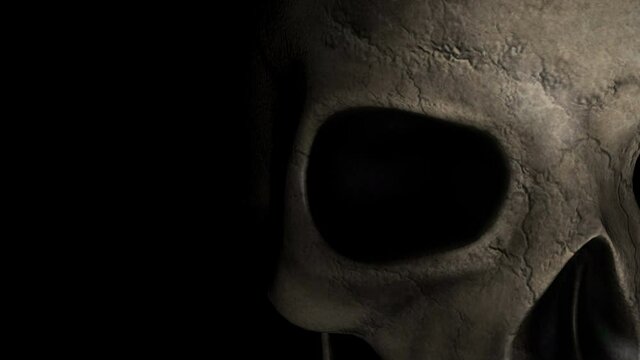 Human skull moving in the dark. Mystic creepy concept. Abstract nightmare occult ceremony. Skull Halloween 3d animation.