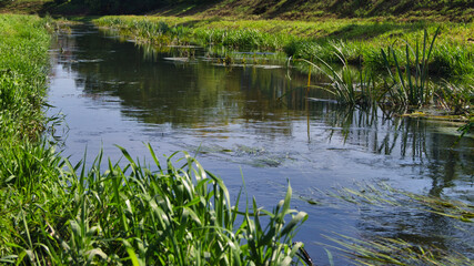 Bystrzyca river on a sunny day.