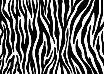 Fototapeta na wymiar Abstract Zebra pattern design, animal skin vector illustration background. wildlife fur skin design illustration.