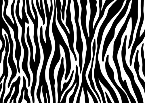Abstract Zebra pattern design, animal skin vector illustration background. wildlife fur skin design illustration.