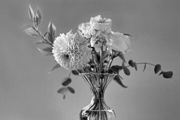 Flowers in Black and White