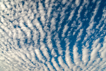Clouds in the clear sky 