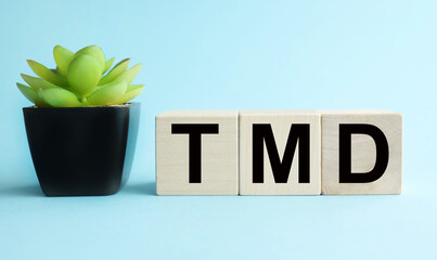 tmd. text on a blue background on wood cubes near a plant in a pot