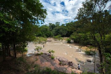 The beautiful river in nature