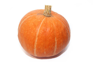 Pumpkin isolated background with copy space . Pumpkin banner . Autumn vegetable. Halloween. Orange pumpkin. Harvest. Foodstuff . Article about Halloween.