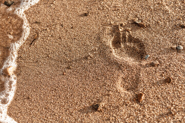 Footprint on the gold sand on the beach.