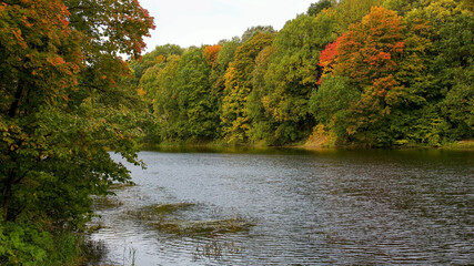 Early morning in an autumn park with a calm lake and colorful trees on the shore