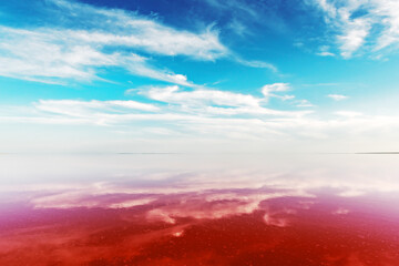 Pink lake water under blue sky with fluffy clouds in summer day. Creative color concept