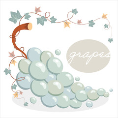 Grapes ornate with leaves on white background. Vector cartoon illustration for fall design