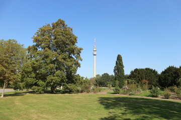 Dortmund, Dortmunder, Fernsehturm, Turm, Florianturm, Westfalenpark, NRW, Ruhrpott, Ruhrgebiet, Parkanlage, Park, Baum, Rosen © Marco Wicke