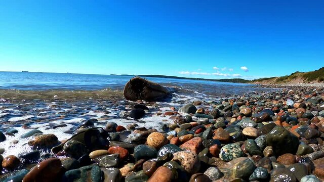 Driftwood on a Canadian beach in St John NB, Canada