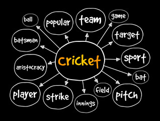 Cricket mind map, sport concept for presentations and reports