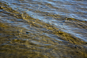 waves on the sand beach