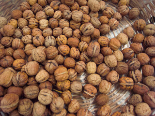 クルミ in  フランス ・パリ