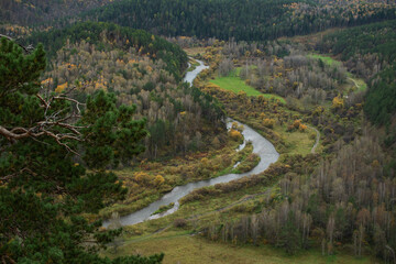 Obraz premium Natural river landscape with forest. The photo