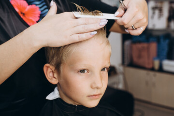 Hair cutting with scissors. Blonde boy at the barbershop.