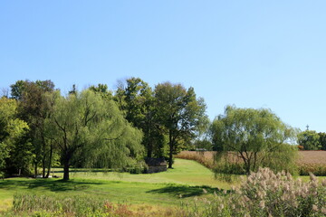A weeping willow tree is in the background.