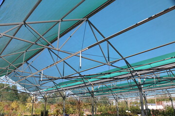 The ceiling of th greenhouse on a summer day.